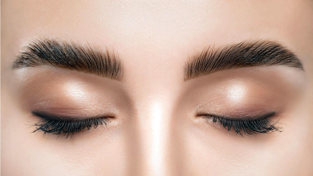 Eyebrow transplant healing and growth stages